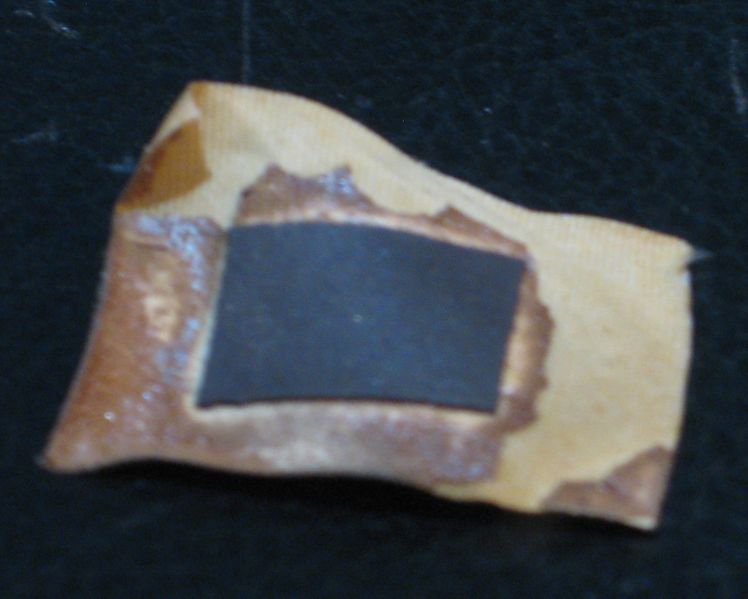 File:CRT Anatomy-12.jpg